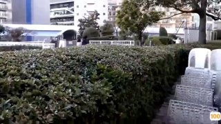 老司机影院视频福利们㊙️➕av黄色在线观看